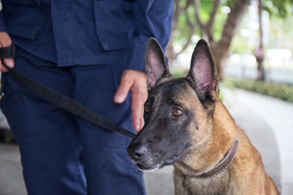 AdobeStock_123519098